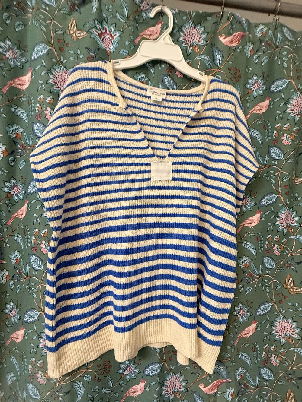 Chic Soul Cream and Blue Striped V-Neck Sweater Vest